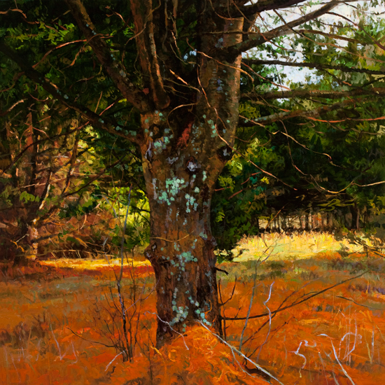 Landscape Paintings